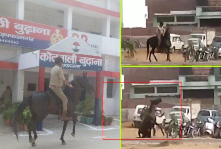 मुजफ्फरनगर: सीओ साहब को घोड़े पर बैठकर करना था कोतवाली का निरीक्षण, निकलते ही हुए धड़ाम