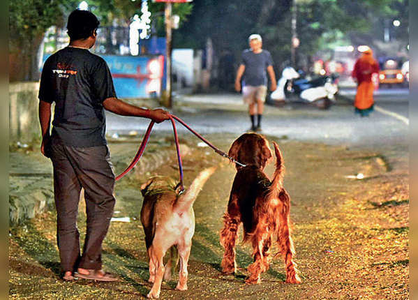 कुत्ता घुमाना, बाल कटाना... पास के लिए VIP बहाने