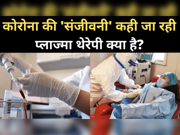 आसाना भाषा में समझें, क्या होती है प्लाज्मा थेरेपी?