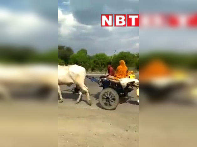 घर पहुंचने के लिए बैलगाड़ी खींच रहा है मजदूर परिवार