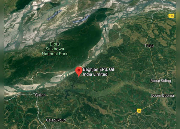 डिब्रू-साइखोवा नैशनल पार्क करीब, सैकड़ों जीव-जंतुओं पर खतरा