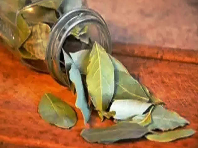 Tej Patta: तेज पत्ता रामबाण औषधि है डायबिटीज के लिए, कोरोना काल में हैं इसके और अधिक फायदे