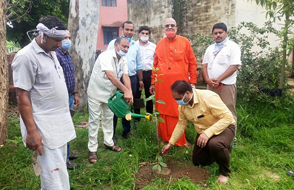 शोभित विश्वविद्यालय रूद्राक्ष के एक हजार पौधे लगायेगा