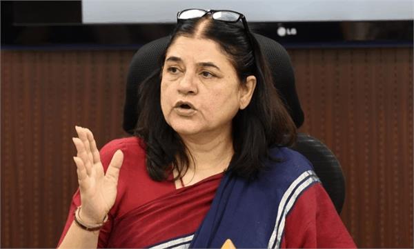 मेनका गांधी के पत्रकारों को ब्लैकमेलर कहने पर कोर्ट में दायर याचिका, लगे ये गंभीर आरोप