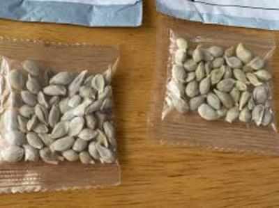 सावधान! चीन से आ रहे हैं खतरनाक सीड पार्सल, केंद्र ने राज्यों और इंडस्ट्री को किया सतर्क