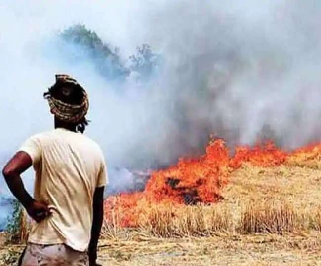 Stubble Burning: किसान समझने लगा पराली जलाने के नुकसान, प्रदेश में अब तक 702 जगहों पर जलाई गई