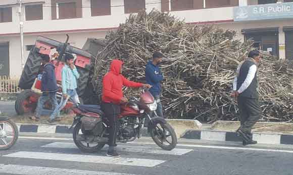 गन्ने से भरी ओवरलोड ट्रैक्टर-ट्राली पलटी, बाल-बाल बचा चालक
