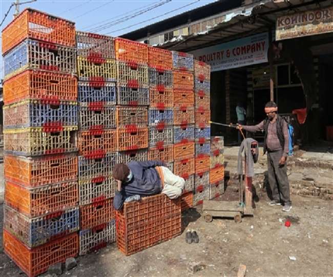 बर्ड फ्लू : दस राज्यों में फैली बीमारी, छह में पोल्ट्री बाजार बंद, केंद्र ने कहा- ना मचाएं हड़बड़ी