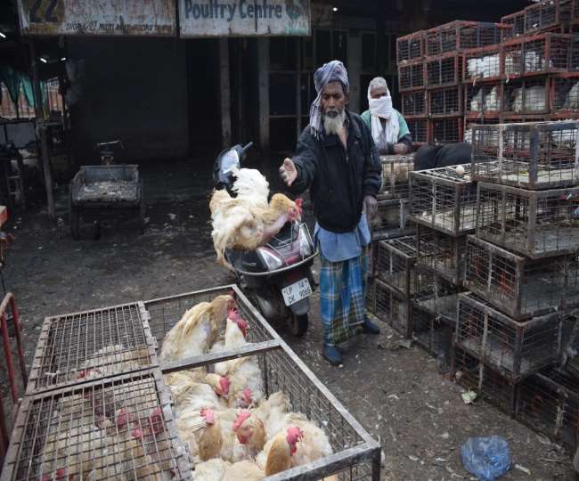 दिल्ली में 5 दिन के बाद खुली गाजीपुर मुर्गा मंडी, जानें- कितने रुपये किलो बिक रहा मुर्गा