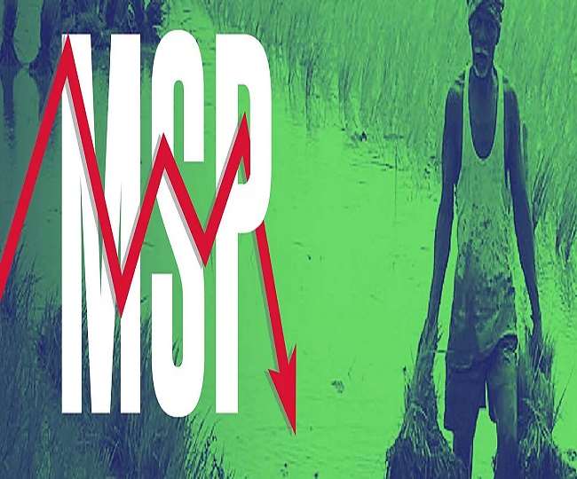 Minimum Support Price: घर-बाहर दोनों मोर्चे पर संकट की दस्तक है एमएसपी, आम उपभोक्ताओं को महंगाई का खामियाजा