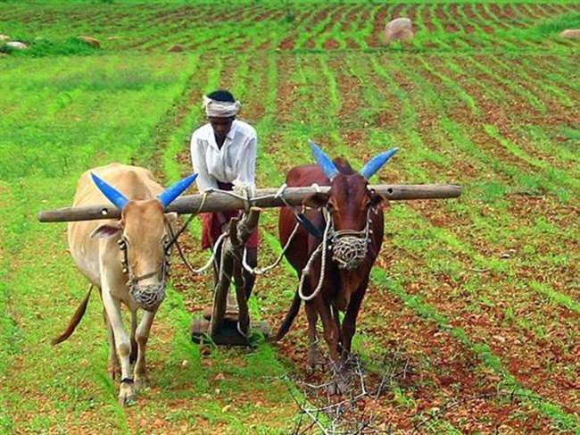 किसानों के हित में तमिलनाडु सरकार का बड़ा फैसला, 12,110 करोड़ रुपये के कर्ज को किया माफ