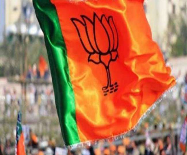 LIVE Gujarat Election Result 2021: सभी जिला पंचायतों में भाजपा जीत के करीब, कांग्रेस की करारी हार