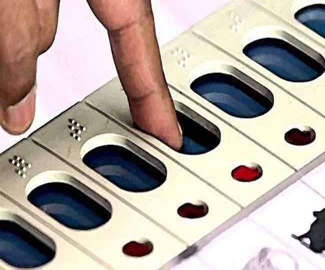 LIVE Gujarat Election Result 2021: AAP ने अमरेली और आणंद में खोला खाता, भरूच तथा गोधरा चुनाव परिणाम पर सबकी नजर