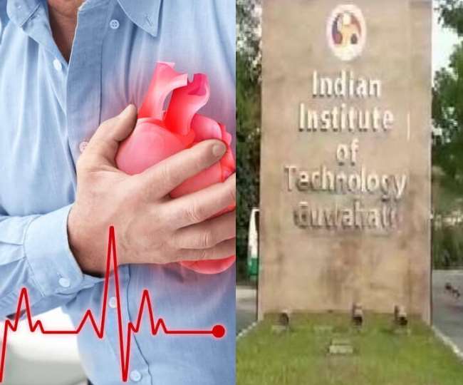 Positive India: दिल के रोगों के लिए कारगर हो सकता है आमलकी रसायन, IIT के वैज्ञानिकों का दावा