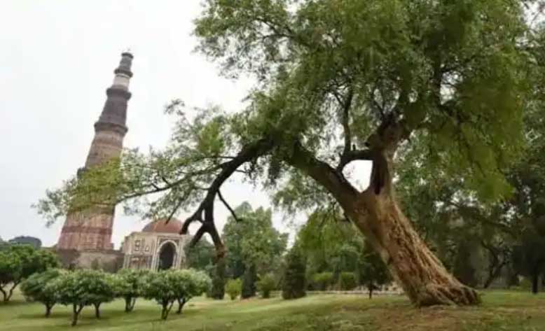 Qutub Minar Case: 27 मंदिरों को तोड़कर बनी थी कुतुब मीनार? कोर्ट में सुनवाई 27 अप्रैल तक स्थगित