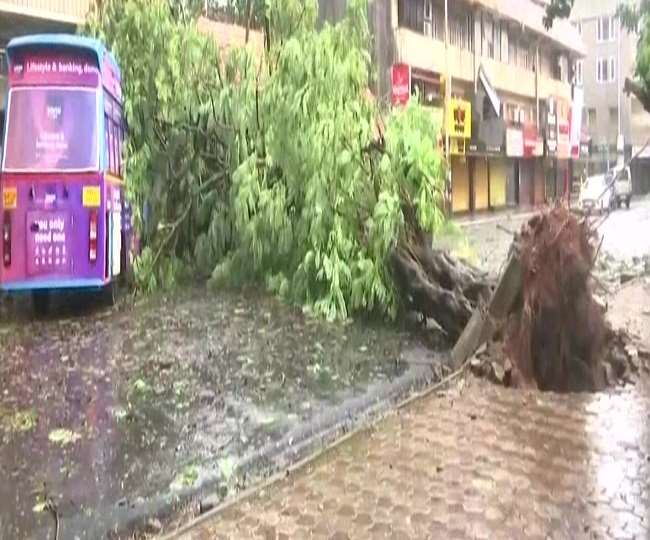 गोवा के तट से टकराया चक्रवाती तूफान टाक्टे, अब तक 5 की मौत, गुजरात हाई अलर्ट पर, जानें- लेटेस्ट अपडेट