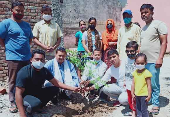 भारतीय वाल्मीकि धर्म समाज के स्थापना दिवस पर वृक्षारोपण कार्यक्रम का आयोजन