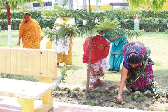 लोग स्वच्छता को अपना संस्कार बनाएं: नगरायुक्त