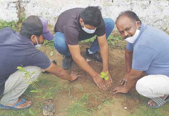 मां भवानी सेवा संस्था ने भी किया पौधारोपण