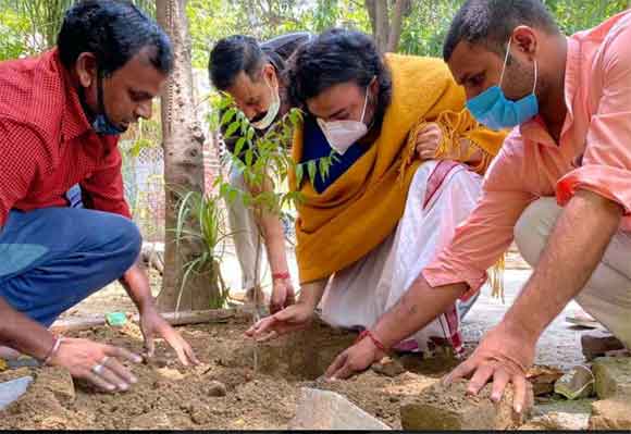 विश्व पर्यावरण दिवस पर क्षेत्र में विभिन्न स्थानो पर पौधारोपण किया गया।