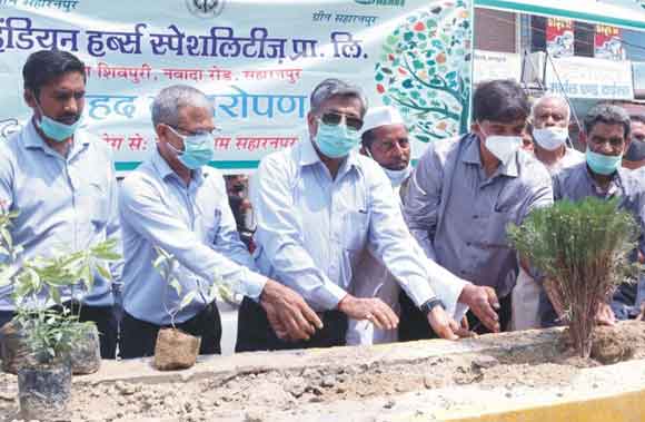 सहारनपुर को सुंदर और विकसित बनाना निगम का लक्ष्य: मेयर