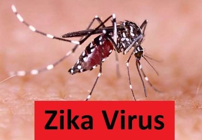 तिरुवनंतपुरम में पाया गया जीका वायरस का क्लस्टर, केरल में अब तक कुल 23 मामले आए