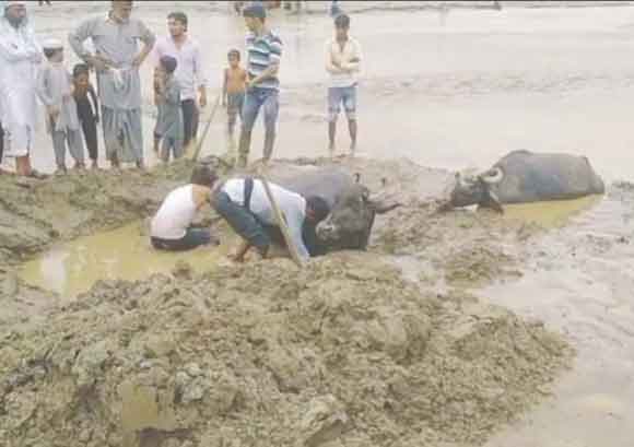 शाकम्भरी खोल में पानी आने से श्रद्धालुओं में मची अफरा-तफरी