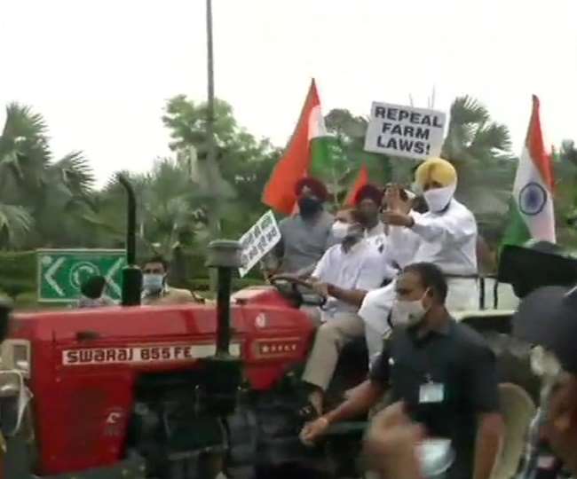 कृषि कानूनों के विरोध में कांग्रेस का प्रदर्शन, ट्रैक्टर चलाकर संसद पहुंचे राहुल गांधी; हिरासत में सुरजेवाला