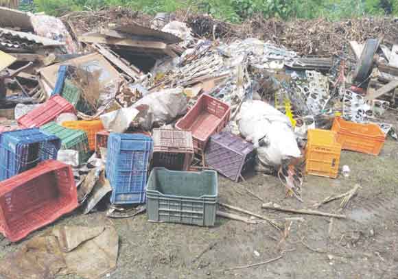 बेहट रोड पर अतिक्रमण के खिलाफ नगर निगम की बड़ी कार्रवाई