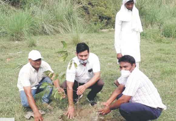 सिंचाई विभाग के अधिकारियों ने किया वृक्षारोपण