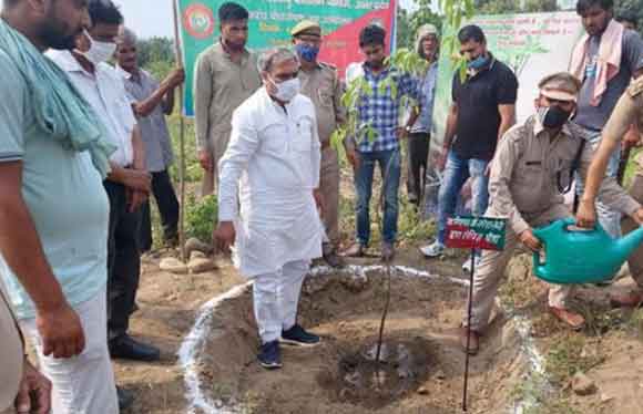 अधिक आक्सीजन देने वाले पेड़ों को प्राथमिकता के आधार पर रोपित किया जाए – श्री नरेश सैनी