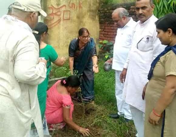 पेड हमारे जीवन के लिये महत्वपूर्ण: रचना