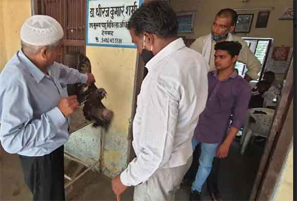 पशु पक्षी प्रेमी अरशद सिददीकी ने बचायी घायल चील की जान    