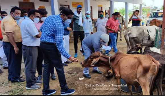 सभी गौ आश्रय स्थलों का संचालन सुचारू रूप से किया जाये – लोकेश एम0