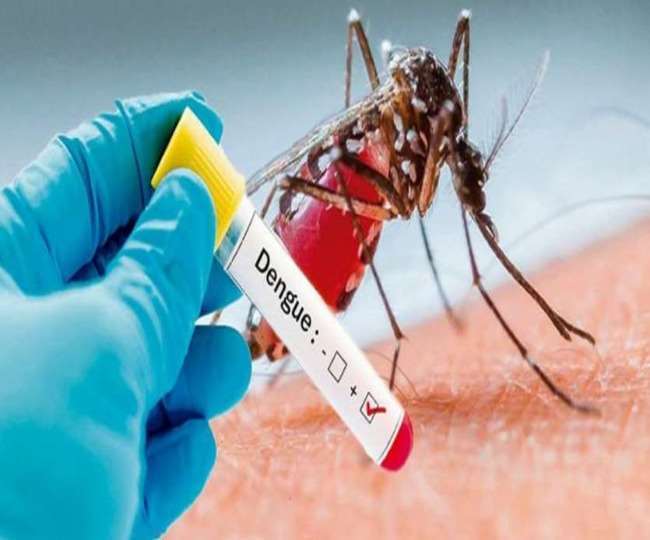 जारी है डेंगू का प्रकोप, इंदौर में 400 से अधिक मामले; उत्तर प्रदेश के विभिन्न इलाकों में हो रहीं मौतें