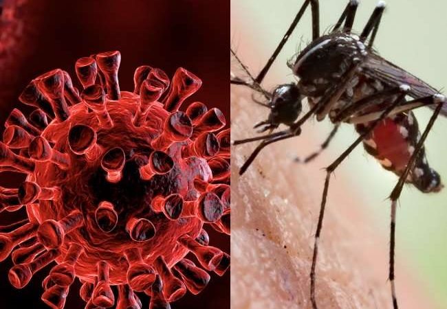 मध्‍य प्रदेश में भी बढ़े डेंगू के मामले, यूपी में मौतों का सिलसिला जारी, दिल्‍ली में एक हफ्ते में 140 केस