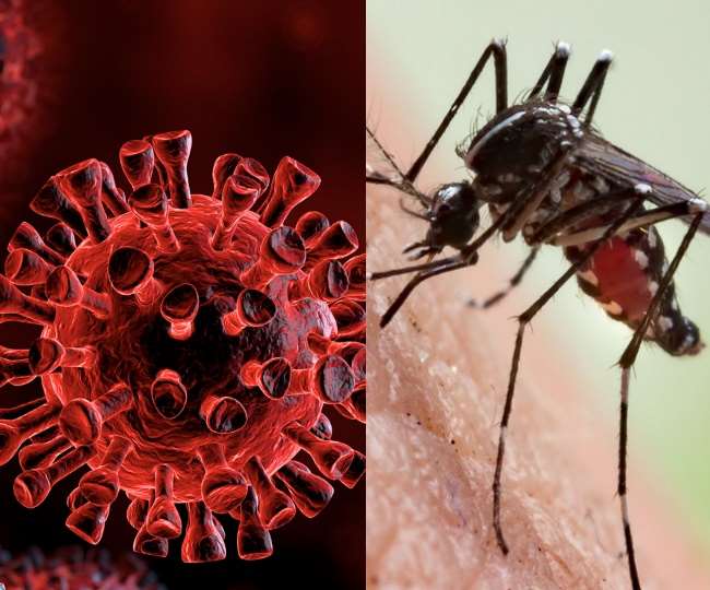 मध्य प्रदेश में भी बढ़े डेंगू के मामले, यूपी में मौतों का सिलसिला जारी, दिल्ली में एक हफ्ते में 140 केस