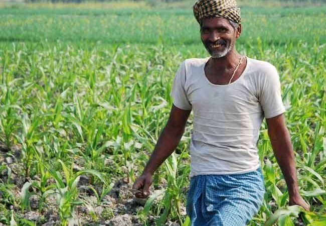 किसानों के लिए मोदी सरकार का बड़ा फैसला- इस साल नहीं बढ़ेंगे इन फर्टिलाइजर के दाम, सब्सिडी भी बढ़ाने का ऐलान