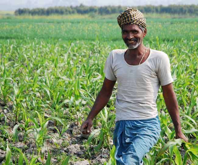 किसानों के लिए मोदी सरकार का बड़ा फैसला- इस साल नहीं बढ़ेंगे इन फर्टिलाइजर के दाम, सब्सिडी भी बढ़ाने का ऐलान