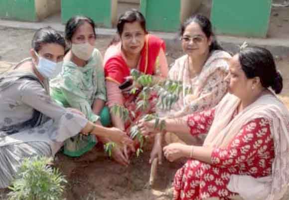 विश्व प्रकृति दिवस पर किया पौधारोपण