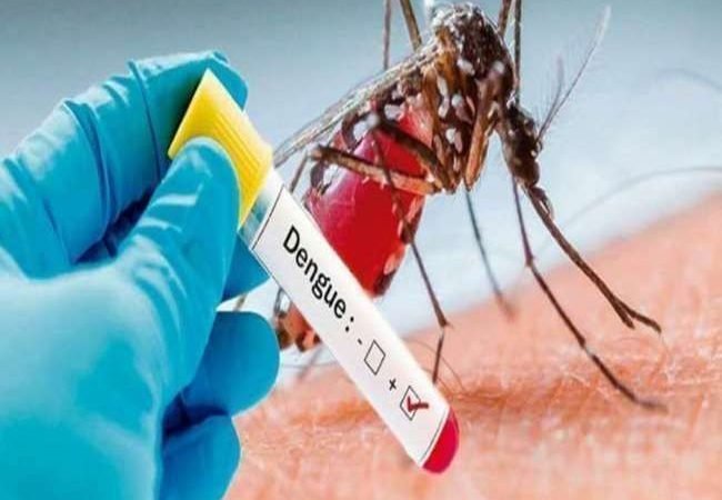 डेंगू के बढ़ते मामलों से निपटने के लिए केंद्र ने 9 राज्यों में भेजी टीमें, दिल्ली-यूपी, पंजाब अलर्ट
