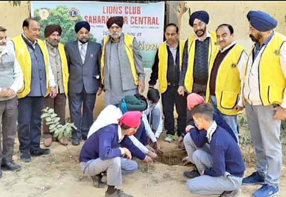 विभिन्न औषधीय प्रजातियों के वृक्षों का पौधारोपण