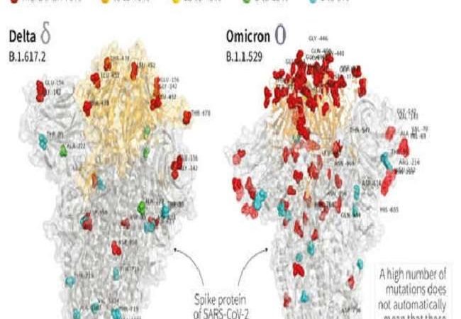 Covid-19 Omicron Variant Live Updates: WHO की नई चेतावनी, ओमीक्रोन है ‘बेहद खतरनाक’, पूरी दुनिया को डरा रही