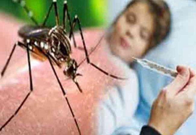 यूपी समेत कई राज्यों में बढ़ा डेंगू का प्रकोप, दिल्ली सरकार ने डेंगू और मलेरिया को महामारी एक्ट में किया अधिसूचित