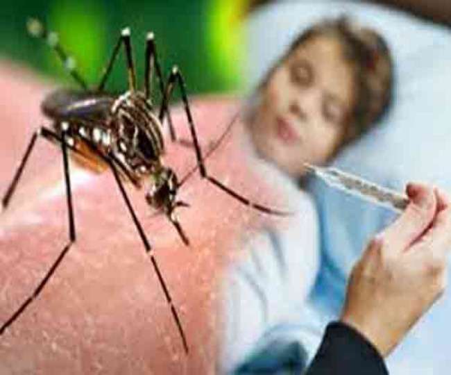 यूपी समेत कई राज्यों में बढ़ा डेंगू का प्रकोप, दिल्ली सरकार ने डेंगू और मलेरिया को महामारी एक्ट में किया अधिसूचित