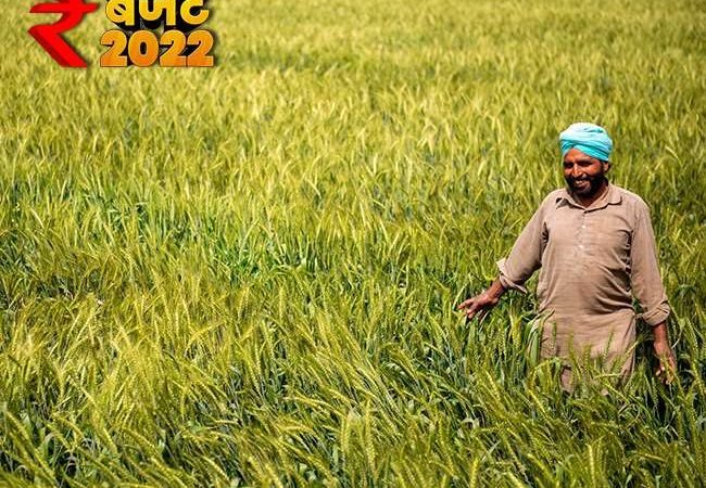 Agriculture Budget 2022: MSP पर की जाएगी रिकॉर्ड खरीदारी, किसानों को हाईटेक बनाने के लिए PPP मॉडल होगा शुरू
