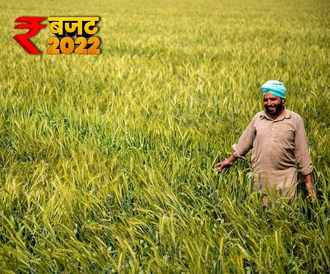 Agriculture Budget 2022: MSP पर की जाएगी रिकॉर्ड खरीदारी, किसानों को हाईटेक बनाने के लिए PPP मॉडल होगा शुरू
