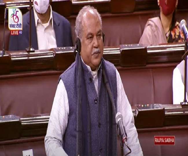 कृषि मंत्री ने राज्यसभा में दी जानकारी, पांच राज्यों के विधानसभा चुनाव के बाद एमएसपी पर कमेटी का गठन करेगी सरकार