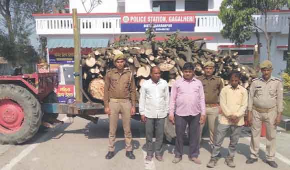 प्रतिबंधित आम की लकड़ी ले जाते दबोचे तीन आरोपी