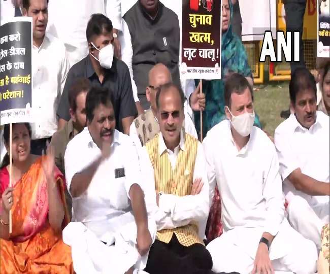 पेट्रोल-डीजल की बढ़ती कीमतों के खिलाफ कांग्रेस का हल्लाबोल, राहुल गांधी बोले देशभर में करेंगे सरकार के खिलाफ प्रदर्शन